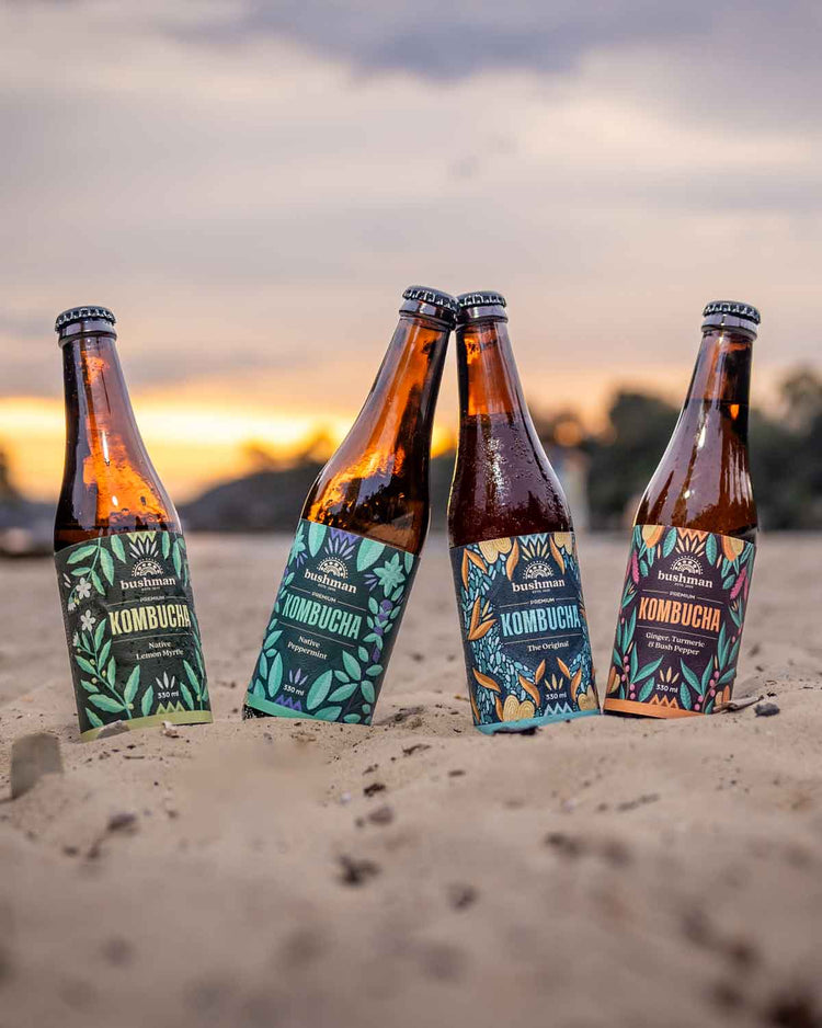 Our Premium Kombucha
