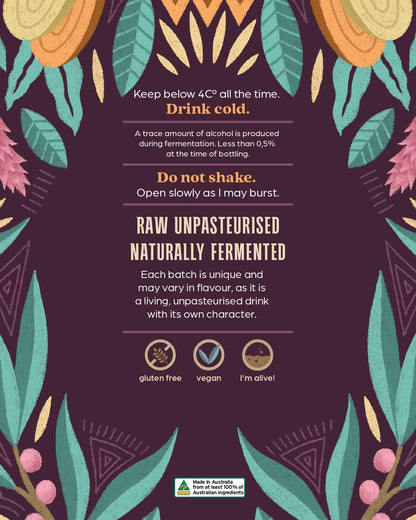 Ginger, Turmeric & Bush Pepper Kombucha - 6 pack