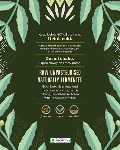 Australian Native Lemon Myrtle Kombucha - 6 Pack