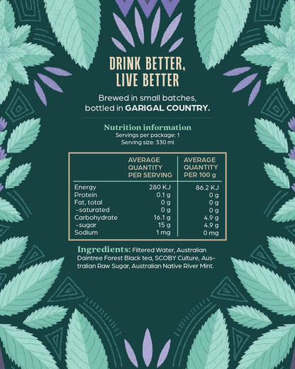 Australian Native River Mint Kombucha - 6 Pack