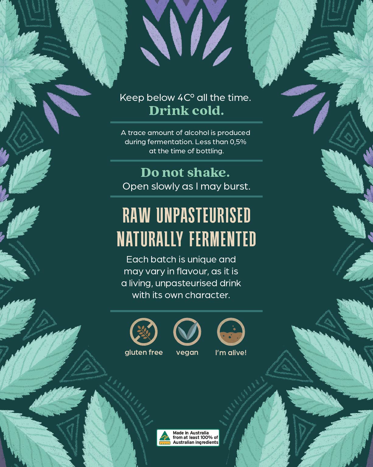 Australian Native River Mint Kombucha - 6 Pack