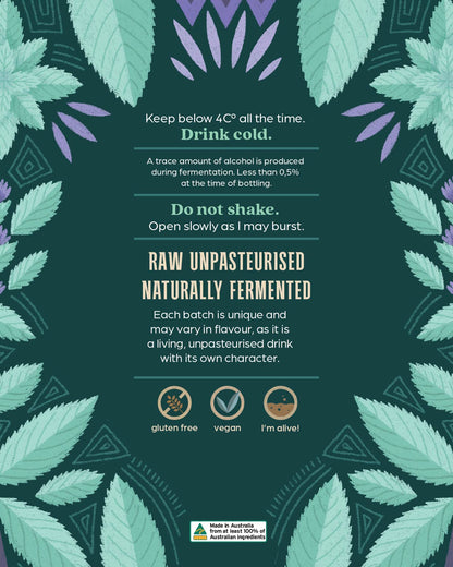 Australian Native River Mint Kombucha - 6 Pack
